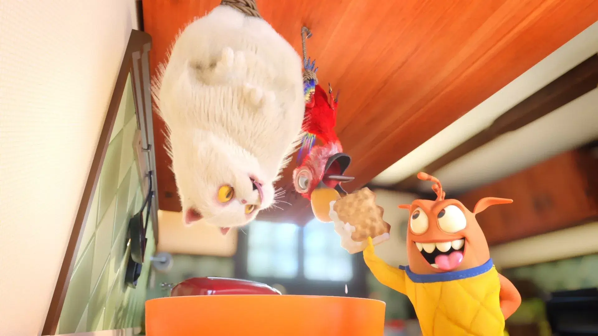 fleky-torturachocomuerdos stills