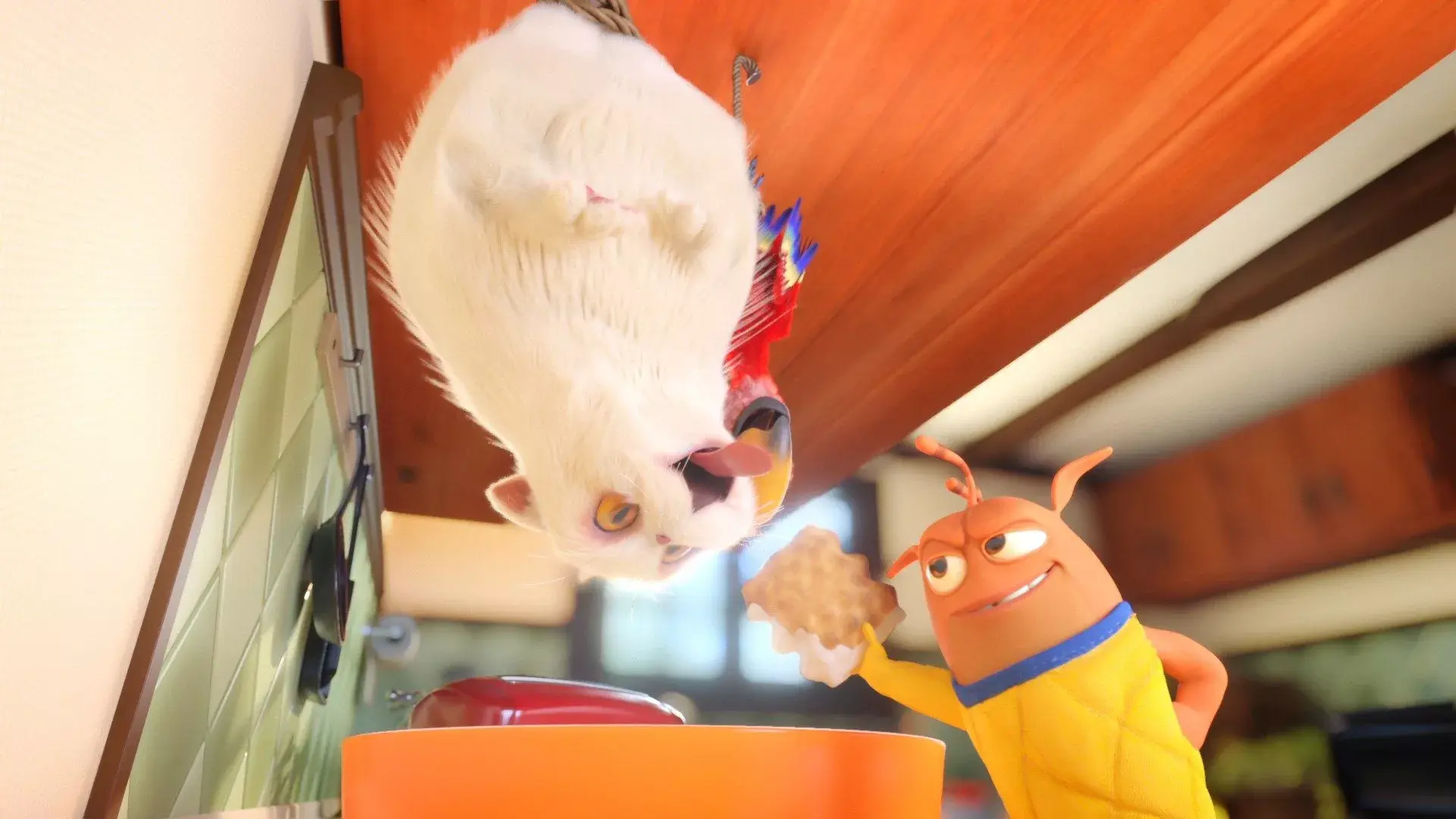 fleky-torturachocomuerdos stills