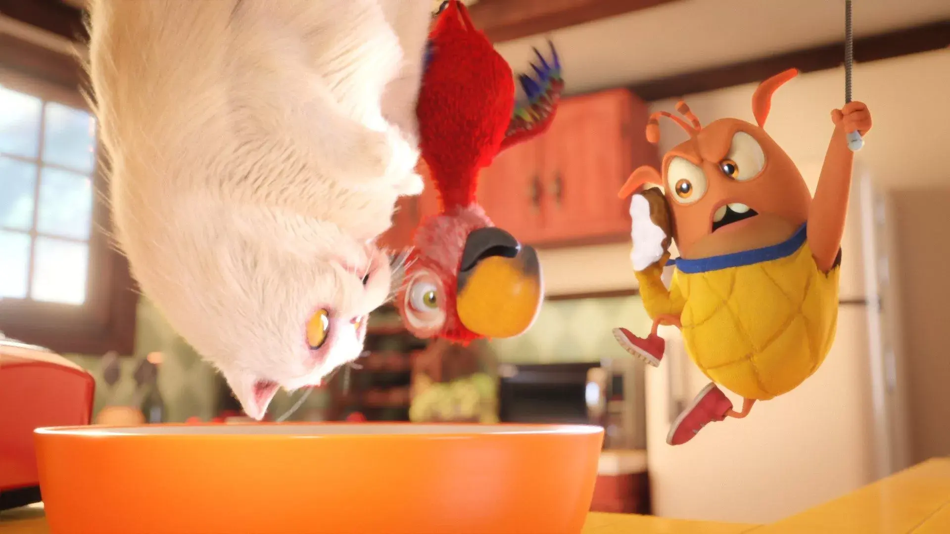 fleky-torturachocomuerdos stills