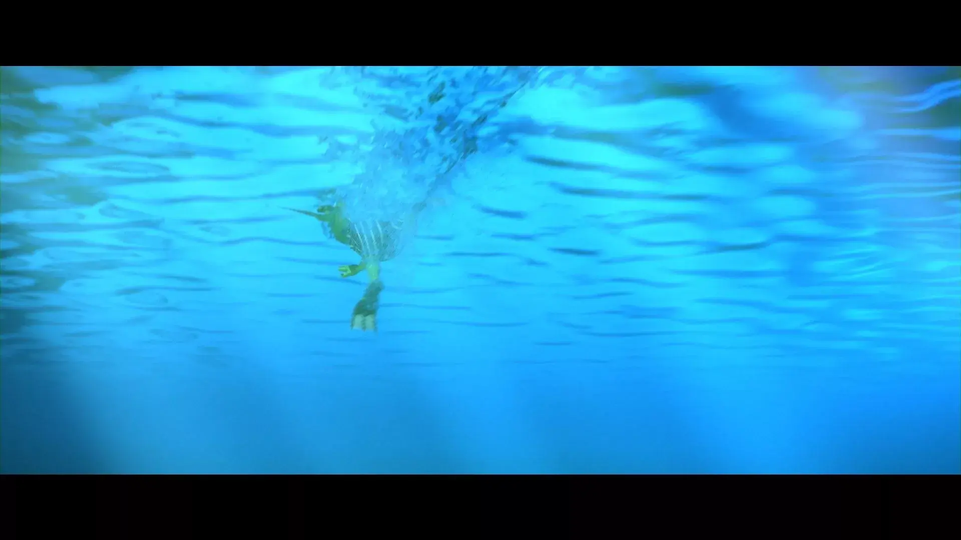 hungrydragon-1 stills