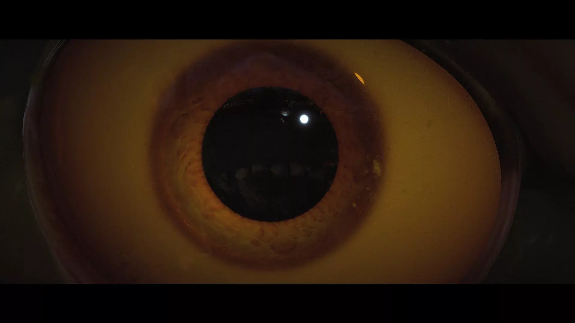 hungrydragon-2 stills